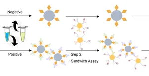 Multiplex Quantitative Detection of SARS-CoV-2 Specific IgG and IgM Antibodies Based on DNA-assisted Nanopore Sensing